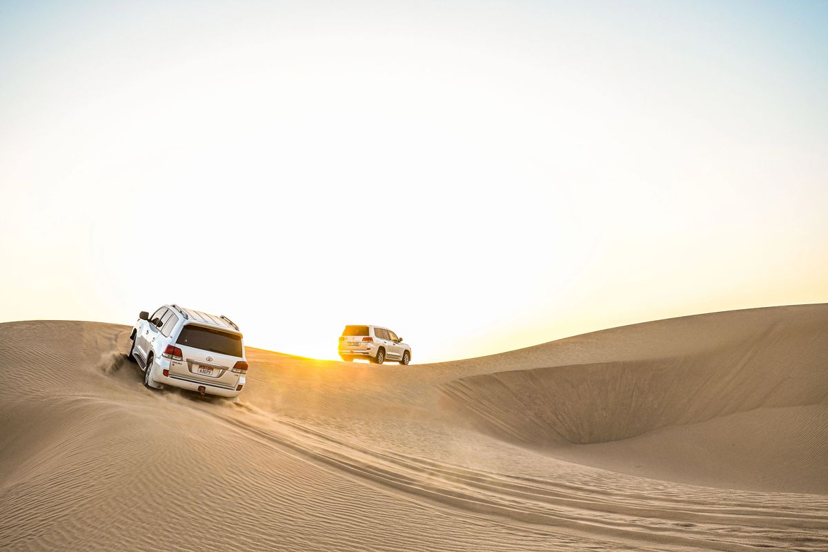 Morning Desert Safari